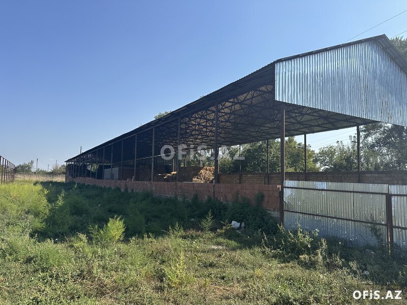 Satılır , Oğuz, Oğuzda Ferma, 10 otaq, 1000 m² Satılır , Oğuz, Oğuzda Ferma, 10 otaq, 1000 m²
