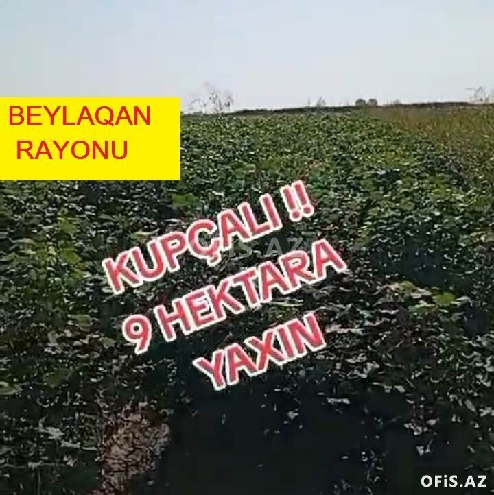 Torpaq Satılır , Beyləqan, Beyləqan rayonu, Sarısu kəndi, 8.5 sot Torpaq Satılır , Beyləqan, Beyləqan rayonu, Sarısu kəndi, 8.5 sot