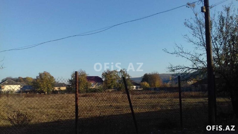 Torpaq Satılır , İsmayıllı, İsmayıllıda 25 sot torpaq satılır, 25 sot Torpaq Satılır , İsmayıllı, İsmayıllıda 25 sot torpaq satılır, 25 sot