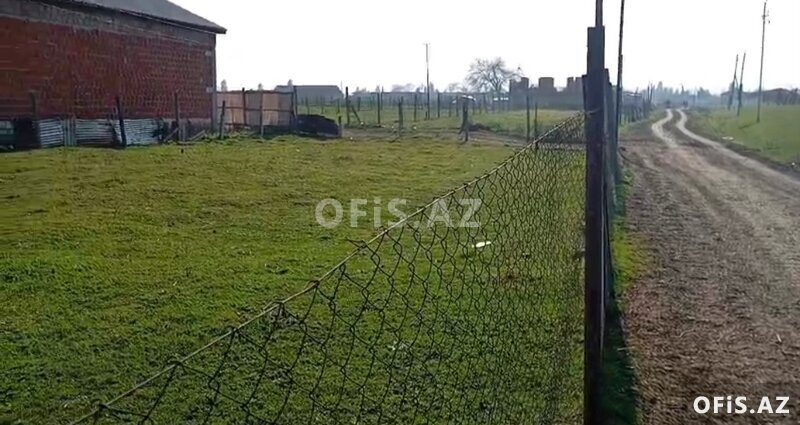 Torpaq Satılır , Cəlilabad, 12 sot torpaq sahəsi satılır, 12 sot Torpaq Satılır , Cəlilabad, 12 sot torpaq sahəsi satılır, 12 sot