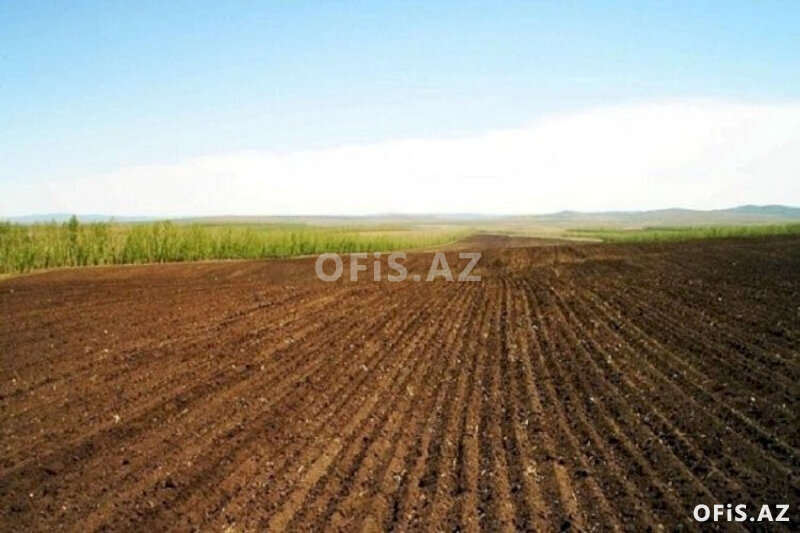 Torpaq Satılır , Füzuli, 22 sot torpaq satılır real alıcıya endirmlə, 22 sot Torpaq Satılır , Füzuli, 22 sot torpaq satılır real alıcıya endirmlə, 22 sot