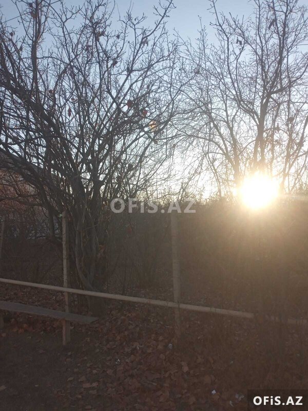 Torpaq Satılır , Qazax, Qazax ra. Cayli kendinde 8 sot torpaq satilir, 8 sot Torpaq Satılır , Qazax, Qazax ra. Cayli kendinde 8 sot torpaq satilir, 8 sot