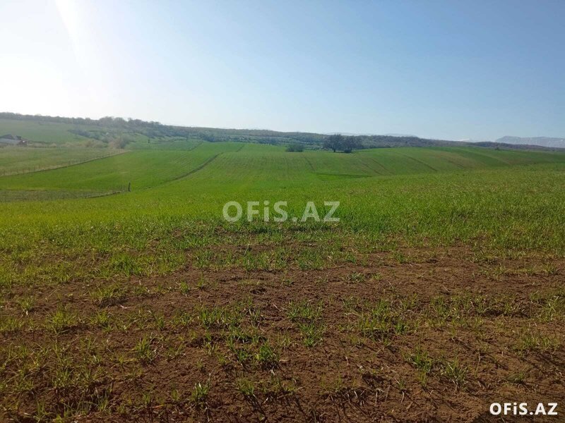 Torpaq Satılır , Qusar, Qusar rayonu kupçalı torpaq, 170 sot Torpaq Satılır , Qusar, Qusar rayonu kupçalı torpaq, 170 sot