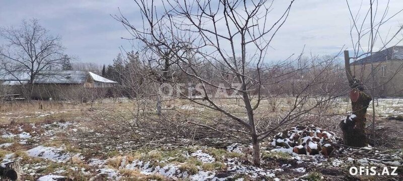 Torpaq Satılır , Qusar, Torpaq satılır, 20 sot Torpaq Satılır , Qusar, Torpaq satılır, 20 sot