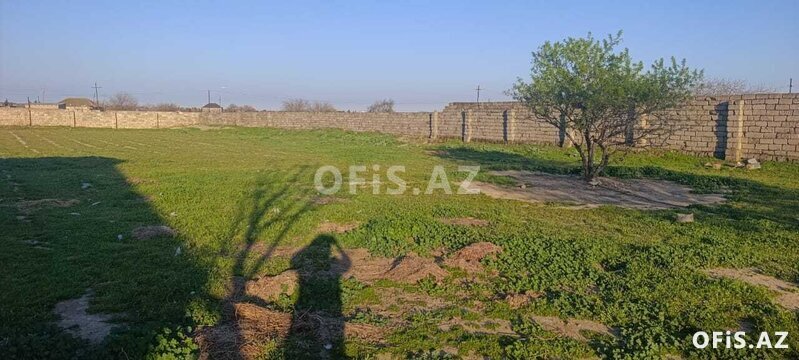 Torpaq Satılır , Sabunçu r., Maştağa q., 6 sot Torpaq Satılır , Sabunçu r., Maştağa q., 6 sot