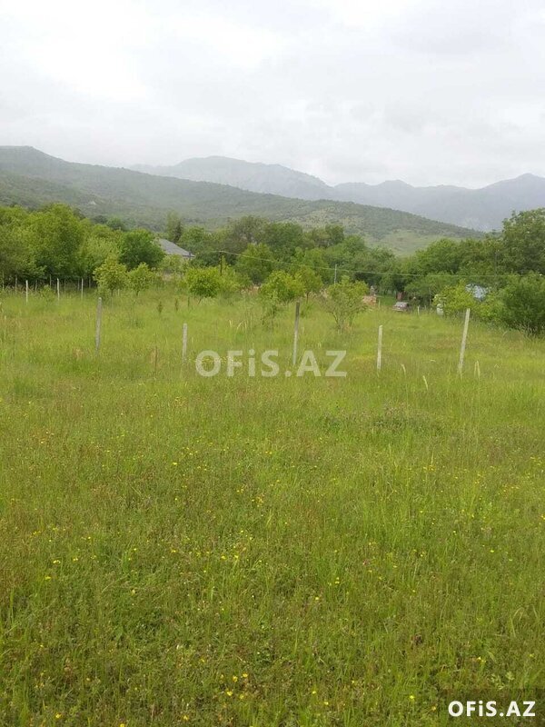 Torpaq Satılır , İsmayıllı, Torpag satilir, 50 sot Torpaq Satılır , İsmayıllı, Torpag satilir, 50 sot