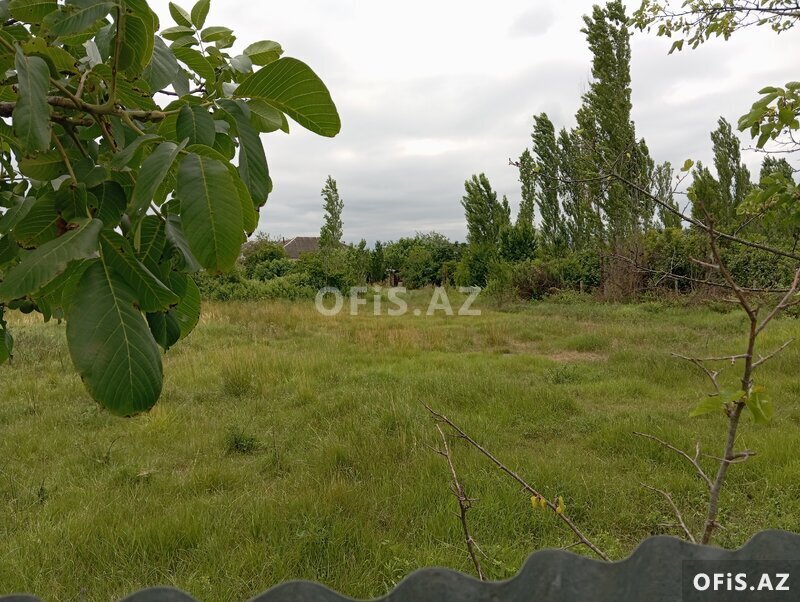 Torpaq Satılır , Xaçmaz, Xaçmaz rayonu Qusarçay kəndi, 6 sot Torpaq Satılır , Xaçmaz, Xaçmaz rayonu Qusarçay kəndi, 6 sot