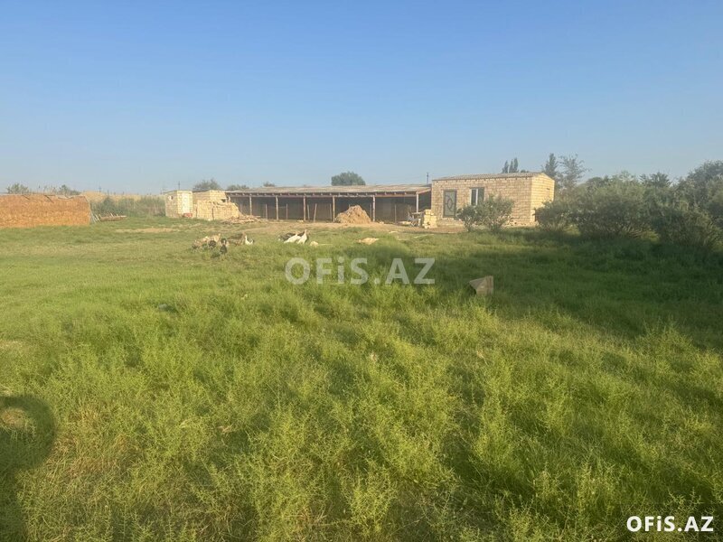 Torpaq Satılır , Sumqayıt, 200 sot torpaq sahəsi, Sumqayıt ş, 200 sot Torpaq Satılır , Sumqayıt, 200 sot torpaq sahəsi, Sumqayıt ş, 200 sot