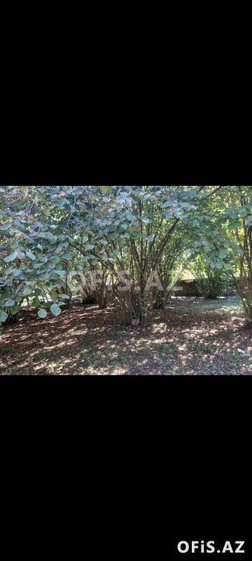 Həyət evləri Satılır , Qax, Qax rayonu bag evi, 2 otaq, 60 m² Həyət evləri Satılır , Qax, Qax rayonu bag evi, 2 otaq, 60 m²