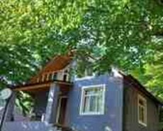 Həyət evi kirayə verilir, Oğuz r