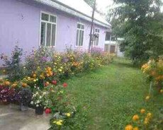 Həyət evi kirayə verilir, Qəbələ r