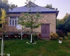 Həyət evi kirayə verilir, Qəbələ ş