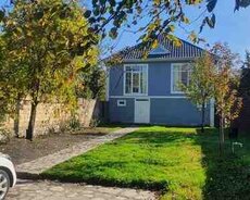 Villa kirayə verilir, Qəbələ r