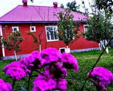 Həyət evi kirayə verilir, Qəbələ r