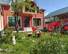 Villa kirayə verilir, Qəbələ r