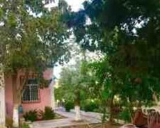 Bağ evi kirayə verilir, Bilgəh qəs