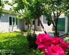 Həyət evi kirayə verilir, Qəbələ r