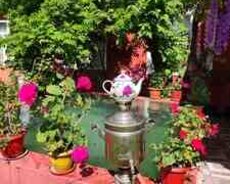 Həyət evi kirayə verilir, Qəbələ r