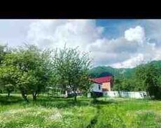 Bağ evi kirayə verilir, İsmayıllı r