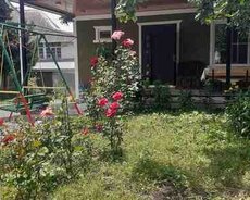 Həyət evi kirayə verilir, Ismayıllı r