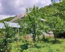 Bağ evi kirayə verilir, Qəbələ ş