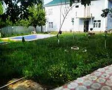 Villa kirayə verilir, İsmayıllı r
