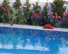 Bağ evi kirayə verilir, Mərdəkan qəs