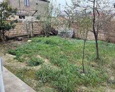 Həyət evi kirayə verilir, Masazır qəs