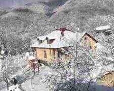 Həyət evi kirayə verilir, Qəbələ r