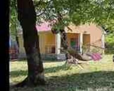 Bağ evi kirayə verilir, İsmayıllı r