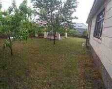 Villa kirayə verilir, Qəbələ r