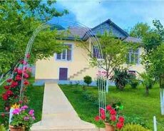 Villa kirayə verilir, Qəbələ r