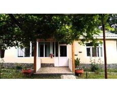 Bağ evi kirayə verilir, Vəndam qəs