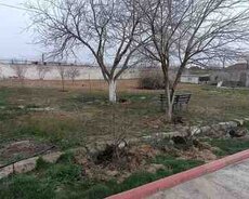 Həyət evi kirayə verilir, Bilgəh qəs