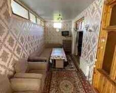 Həyət evi kirayə verilir, Şəki ş