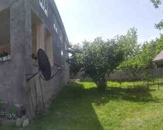 Bağ evi kirayə verilir, Qəbələ ş