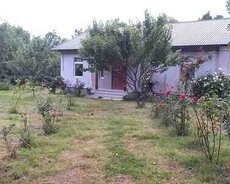 Həyət evi kirayə verilir, Qəbələ r