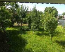 Həyət evi kirayə verilir, İsmayıllı r