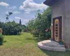 Villa kirayə verilir, Qəbələ ş