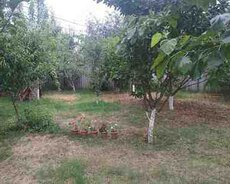 Bağ evi kirayə verilir, Oğuz r