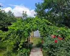 Bağ evi kirayə verilir, Qəbələ r