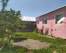 Həyət evi kirayə verilir, İsmayıllı r