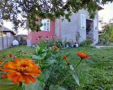 Həyət evi kirayə verilir, Qəbələ r