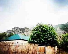 Həyət evi kirayə verilir, Şamaxı r