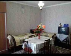 Həyət evi kirayə verilir, Gəncə ş