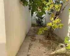 Bağ evi kirayə verilir, Pirşağı qəs