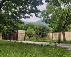 Həyət evi kirayə verilir, Qəbələ r