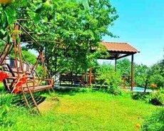 Villa kirayə verilir, Qəbələ r