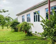 Həyət evi kirayə verilir, Qəbələ ray