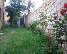 Bağ evi kirayə verilir, Quba r